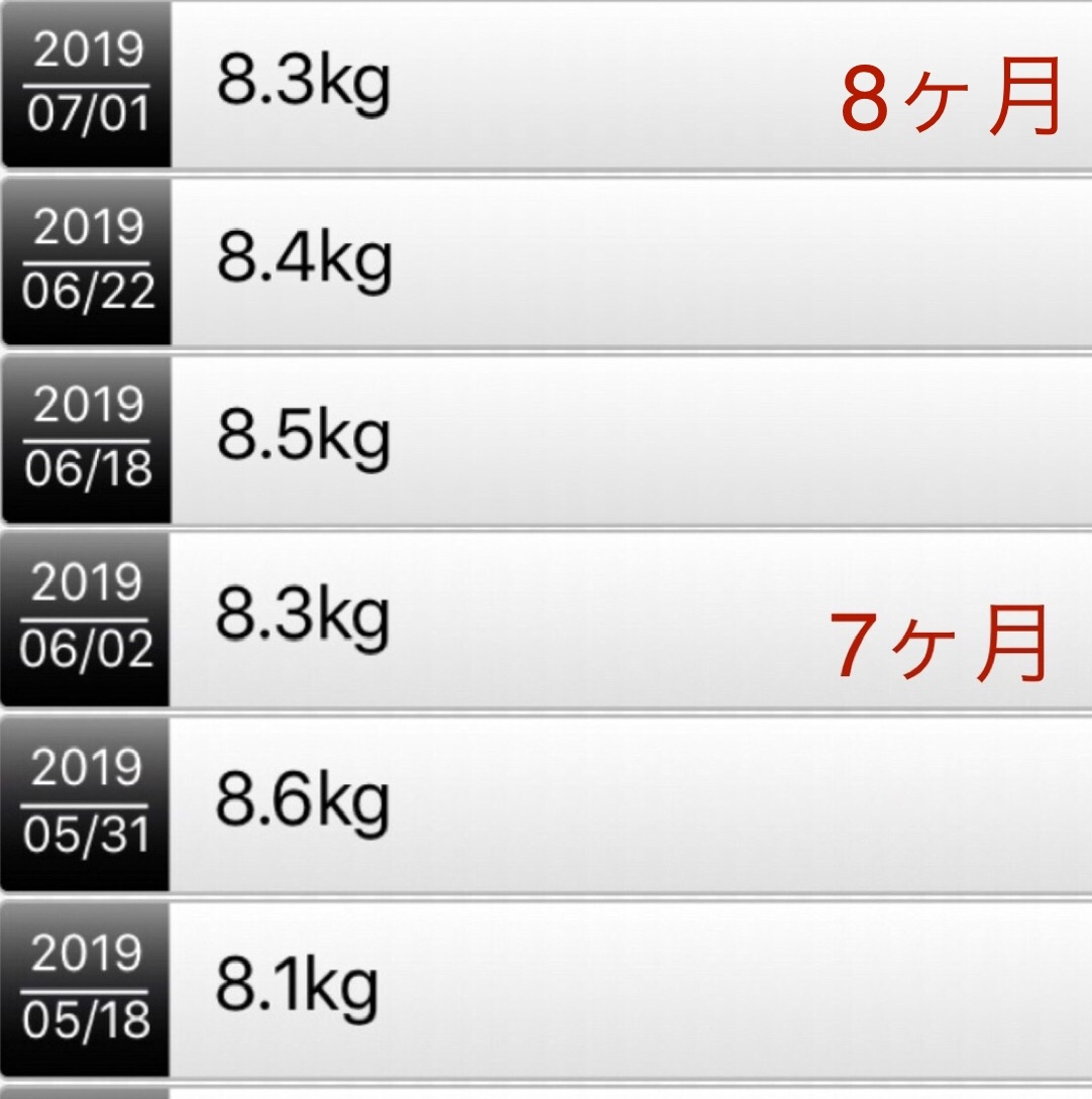 雑種犬 8か月子犬の体重推移 いのぶろぐ